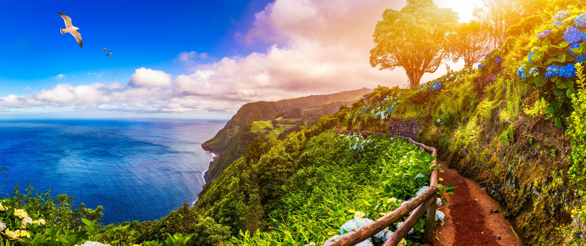 Sao Miguel Island Tours Azores Islands Collection